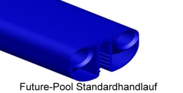 Future-Pool Standardhandlauf